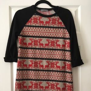 Reindeer Sweater Raglan Tunic